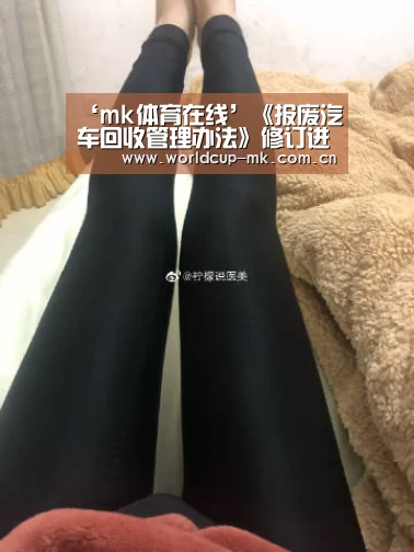 mk体育app下载入口