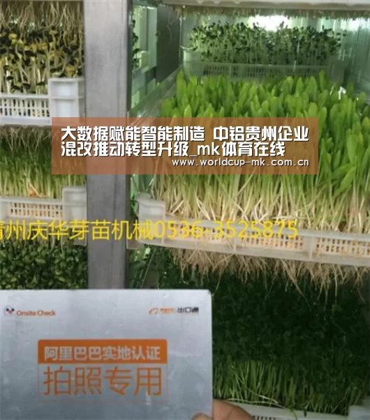 大数据赋能智能制造 中铝贵州企业混改推动转型升级_mk体育在线(图3) mk体育app下载入口