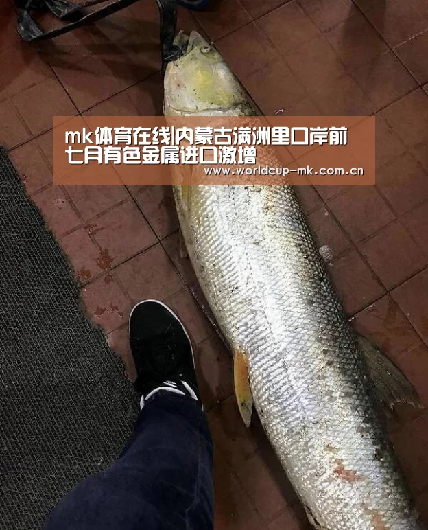 mk体育在线|内蒙古满洲里口岸前七月有色金属进口激增